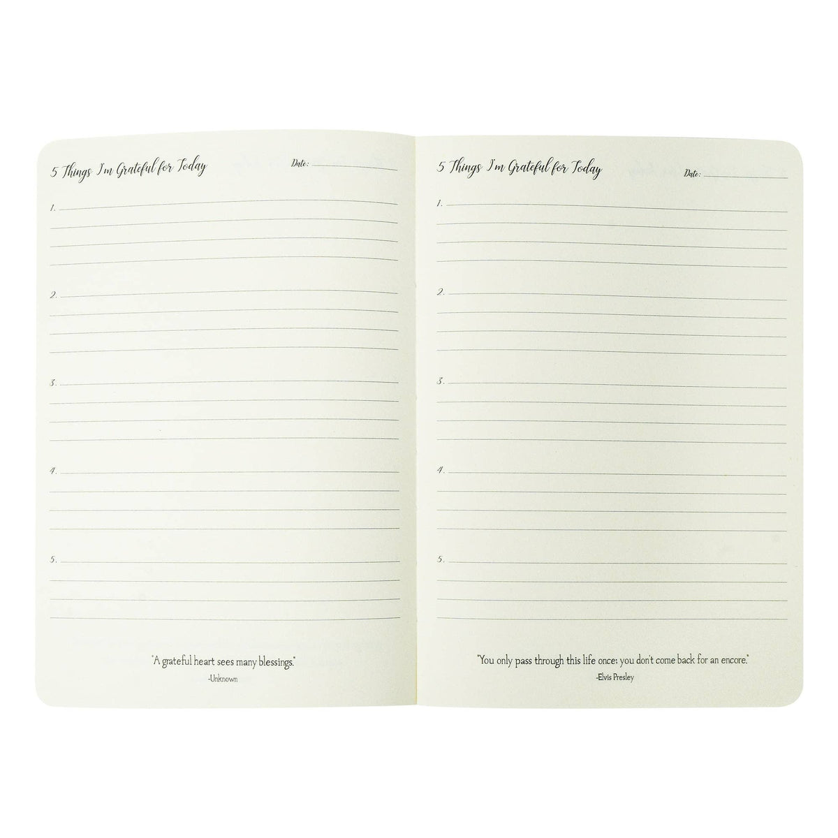 Guided Gratitude Journal